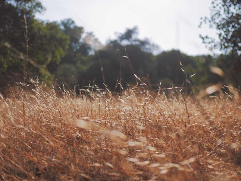 루프탑 가든 파티